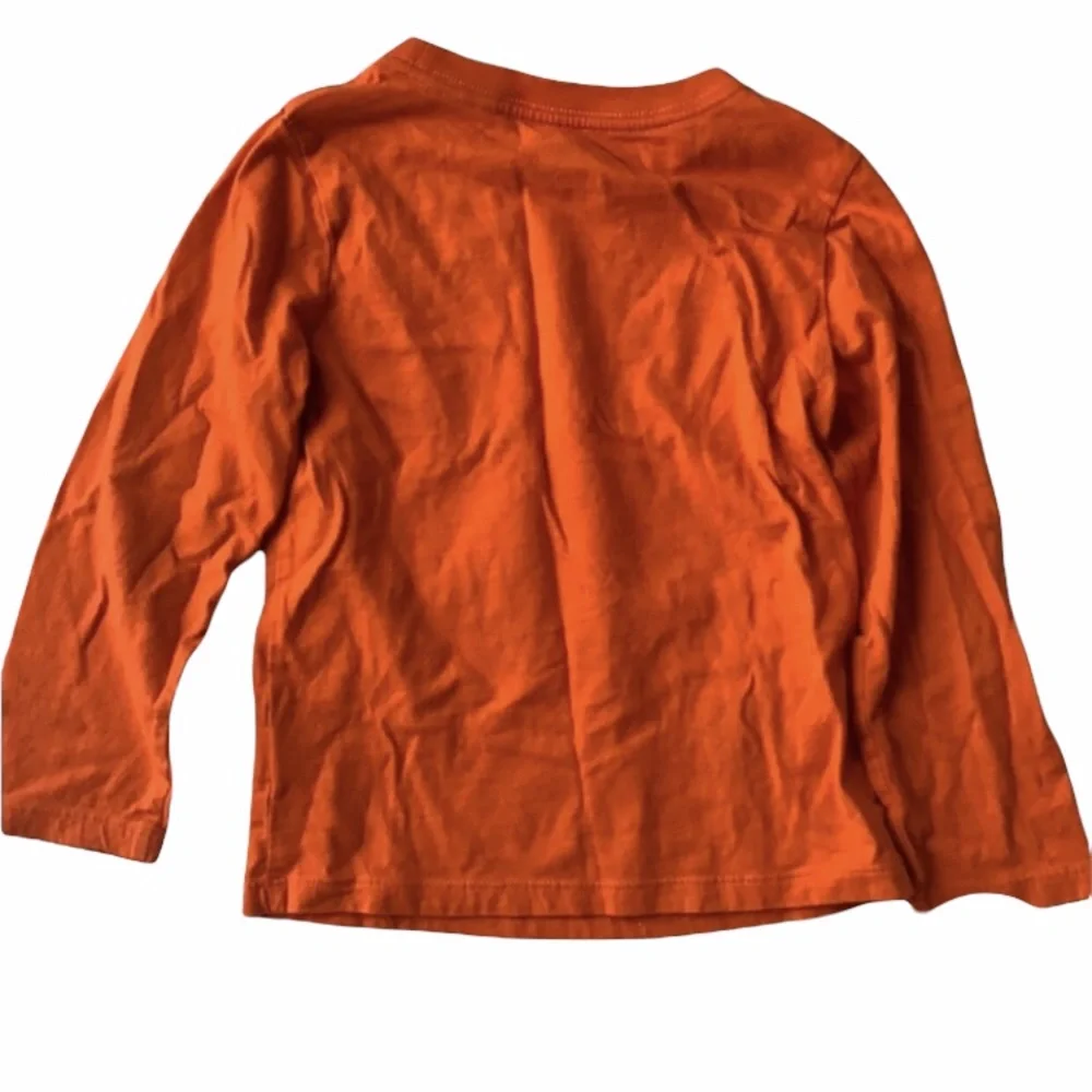 Lot (2) Carter’s 3T Long sleeved shirts- Halloween and Winter